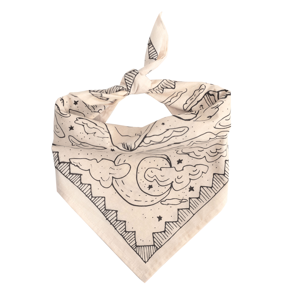 No. 068 Desert Bandana