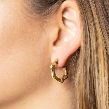 14K Gold Dipped Hexagon Hoop Earrings